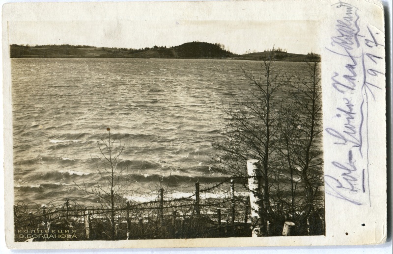 Проволочные заграждения на озере Большое Свито. 1917 г.