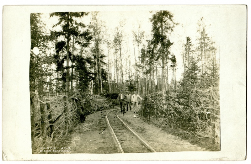 Узкоколейка к передовой позиции «Просека Мули»( Mulischnaise) в лесу у деревни Можейки. 1916 г.