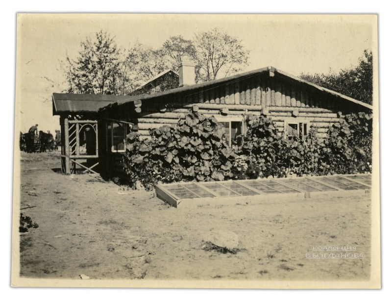 Парник для выращивания овощей у деревни Мольдевичи. Весна 1916 года.