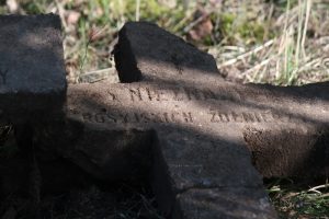 Немецкое кладбище Первой мировой войны в деревне Свилели Поставского района-6