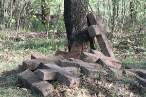 Немецкое кладбище Первой мировой войны в деревне Свилели Поставского района-5