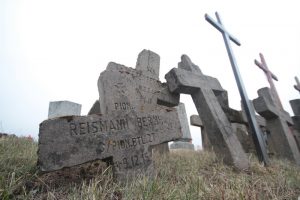 Немецкое кладбище в Большой Ольсе-1