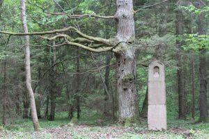 Немецкое кладбище Первой мировой войны около деревни Филипповцы Поставского района-4